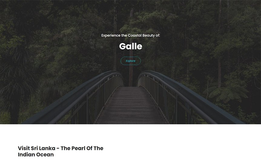 Screenshot of the demo website