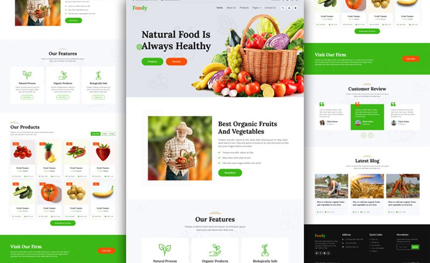 Screenshot of the demo website