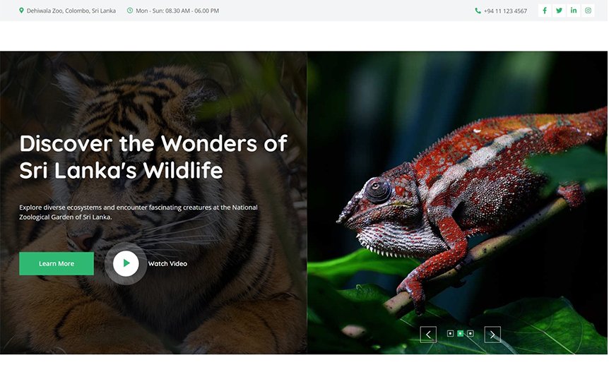 Screenshot of the demo website